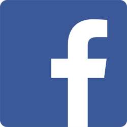 Volg BIM Muurschildering op facebook Volg BIM Muurschildering op facebook
