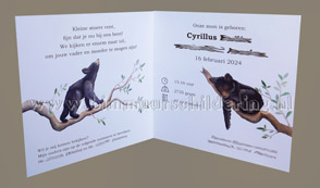 geboortekaart jongen beren