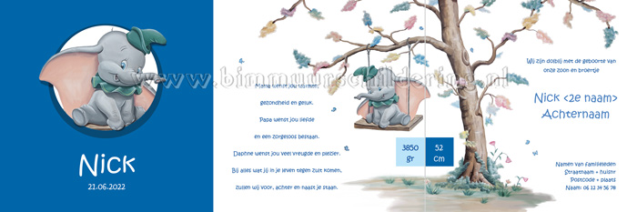 Disney geboortekaart jongen