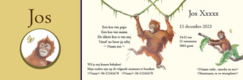 apen geboortekaartjes jongen apen geboortekaartjes jongen