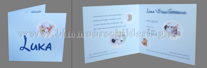 geboortekaartje disney voor een jongen